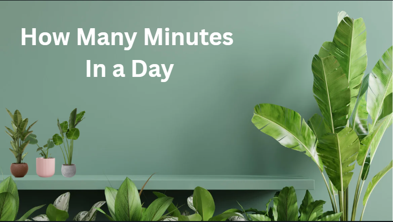 How Many Minutes In a Day How Many Minutes In a Day