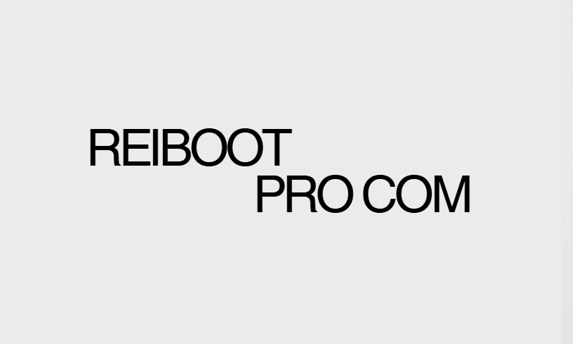 ReiBoot Pro